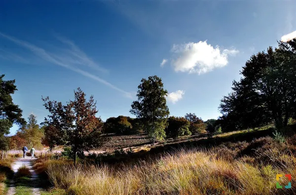 HALLO Magazine Online.nl foto provincie Limburg