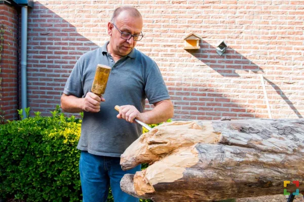 HALLO Online.nl