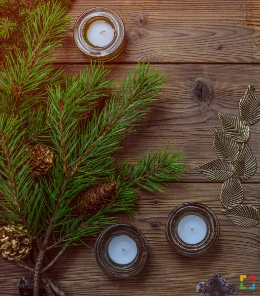 Kerstversieringen uit het bos