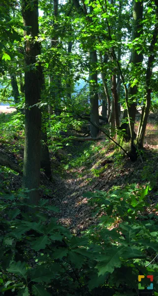 Het Leudal, voor nu en altijd een wonderlijk natuurgebied