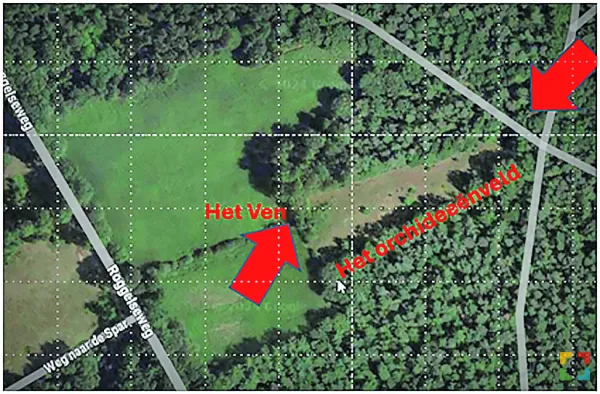 Hallo Magazine Online / Natuurwerkdag: Doe je fanatiek mee?