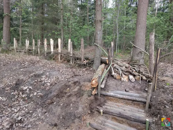 HALLO Online/Magazine / Alle kinderen naar buiten - Thema Takkenril bouwen HALLO Online.nl