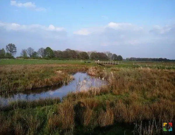 HALLO Online.nl